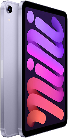 iPad mini 2021