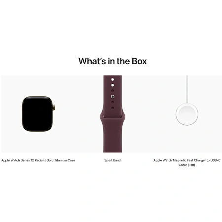 Watch 12 Titanium Case