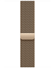 Watch 11 Titanium Case