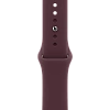 Watch 12 Titanium Case